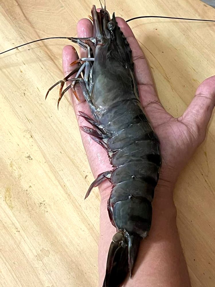 04-12-46-1650879969220523249