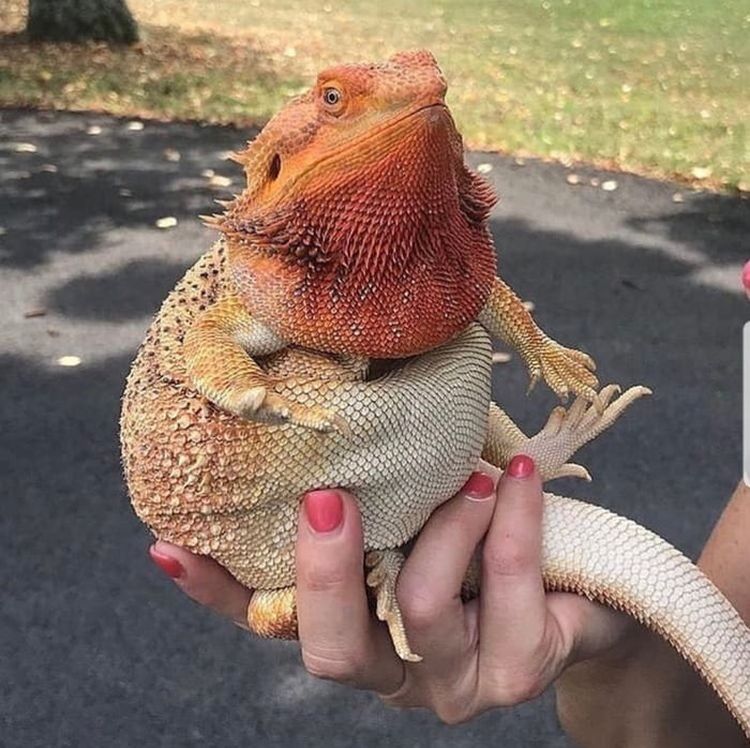 04-12-46-16508799741577492698