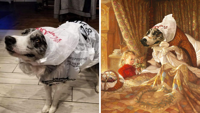 04-12-57-164984383532883738