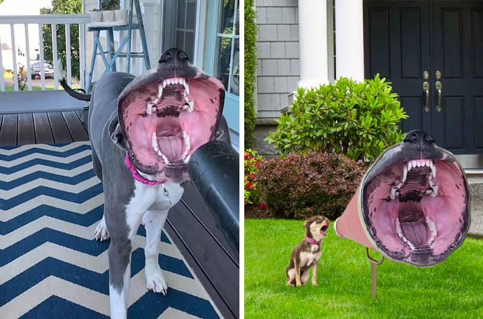 04-12-57-16498438621446547721