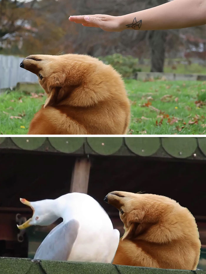 04-12-57-16498438692007980492