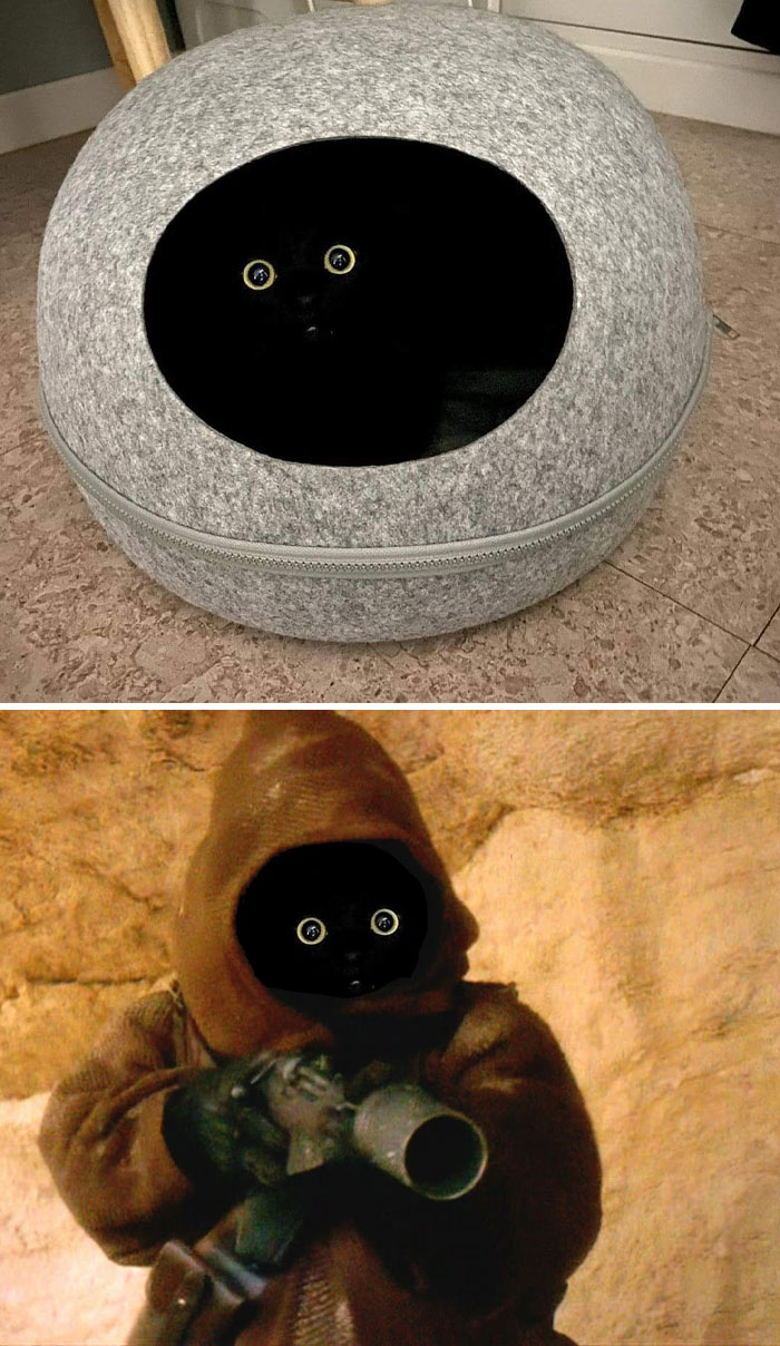 04-12-57-1649843872440740724