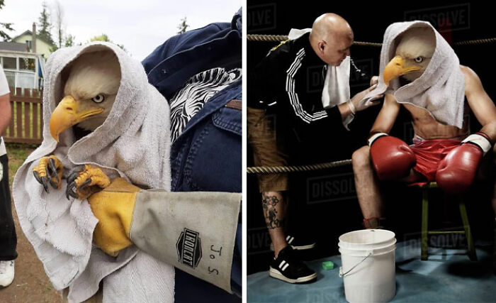 04-12-57-1649843877796158309