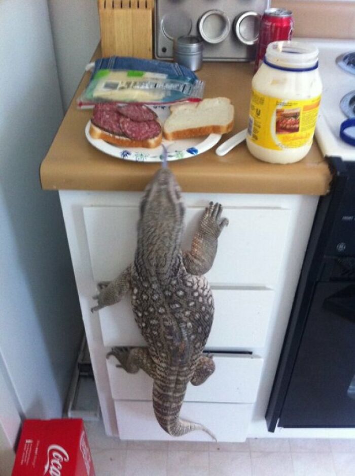 04-13-07-16490668761004585198