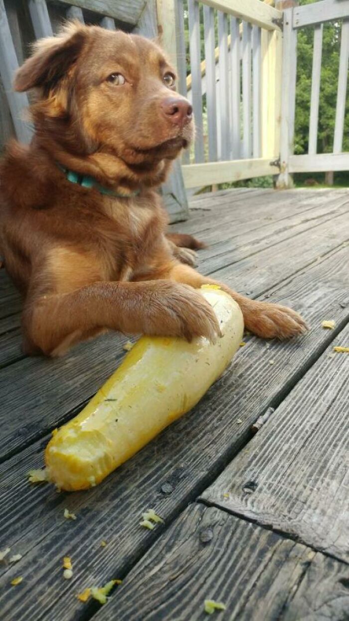 04-13-08-16490668831177695809