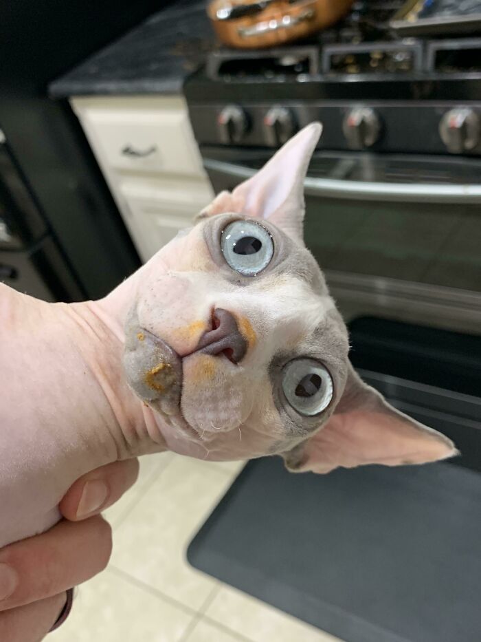 04-13-09-1649066948828954162