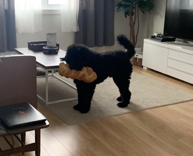 04-13-09-1649066951680112770