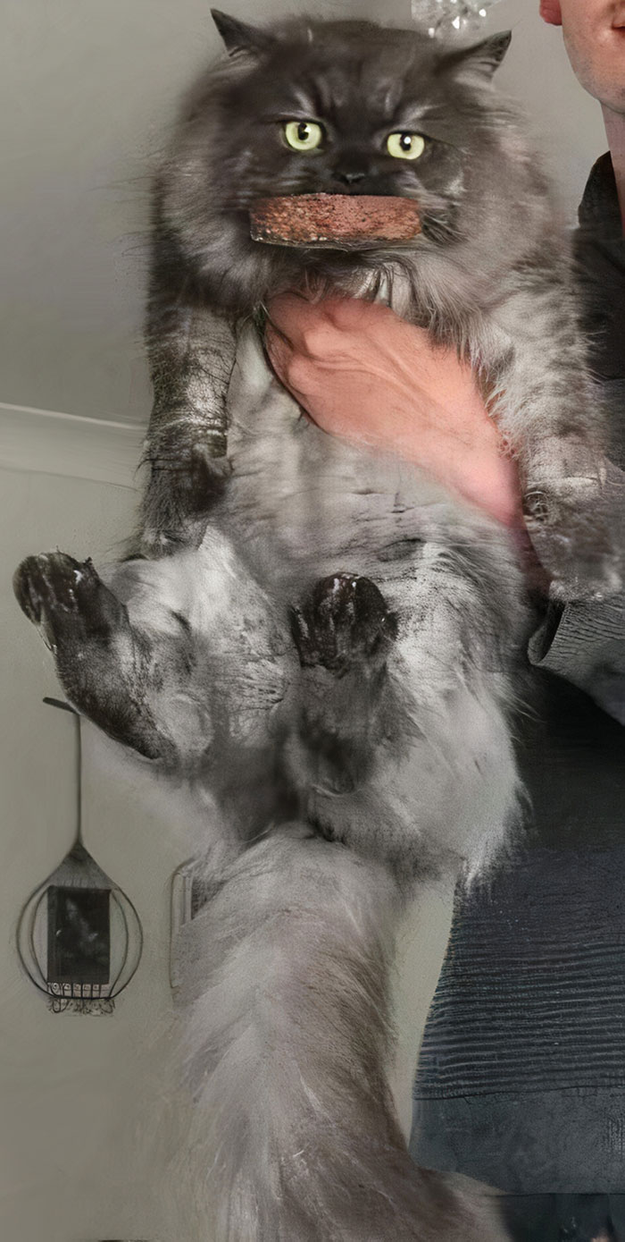 04-13-09-16490669542079271139