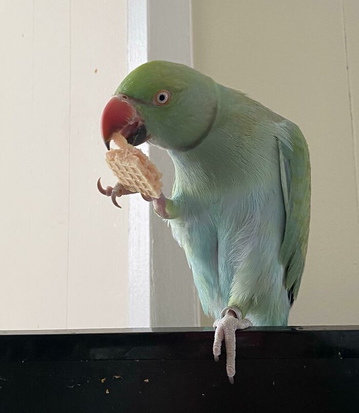 04-13-09-16490669581023348035