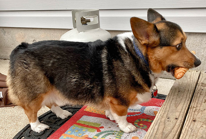 04-13-09-1649066967415211114