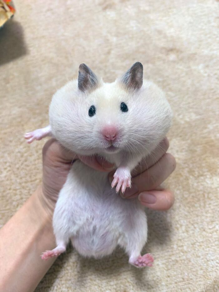 04-13-09-16490669712066682665