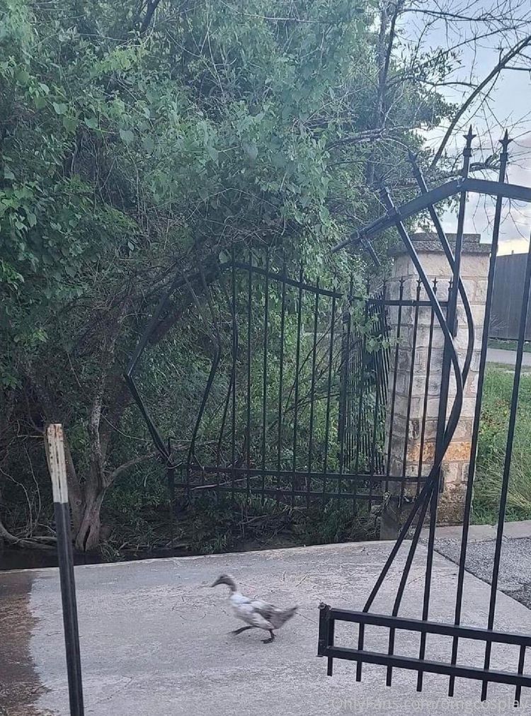 04-13-46-16512291871002622993