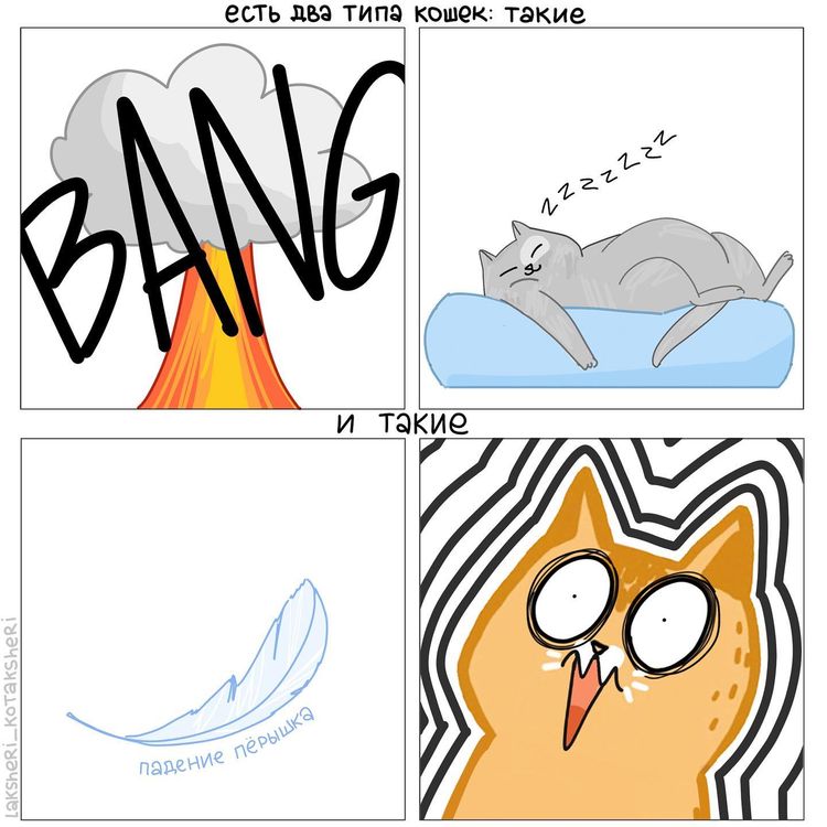 04-13-55-16505385531222211515