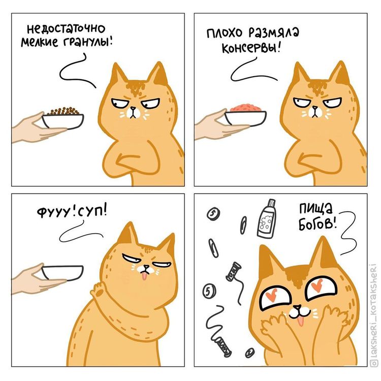 04-13-56-16505385802029826623