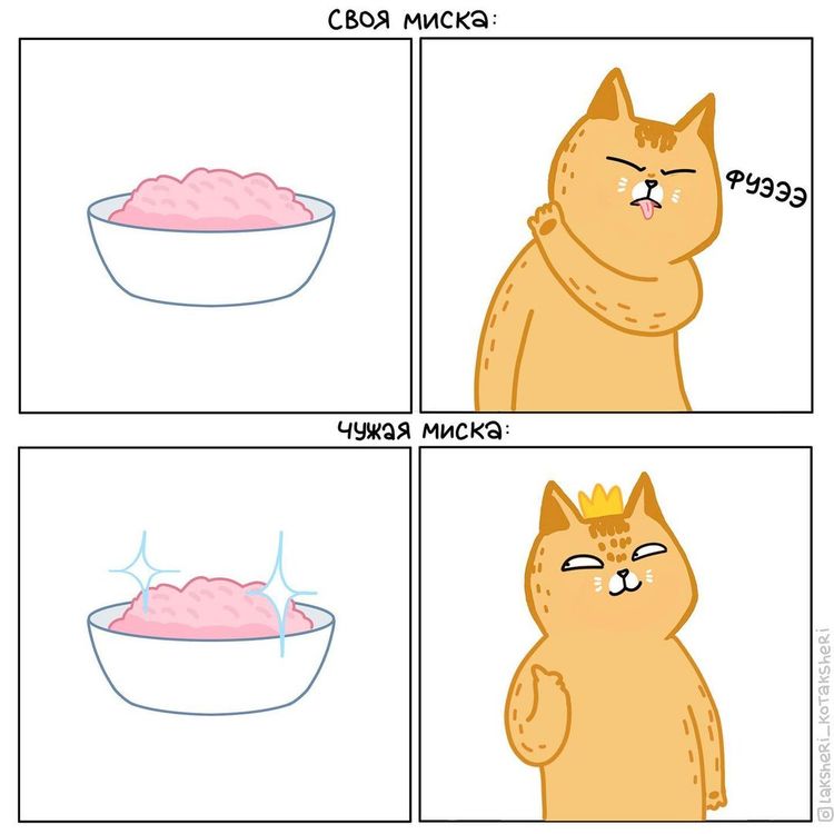 04-13-56-16505385981110678217