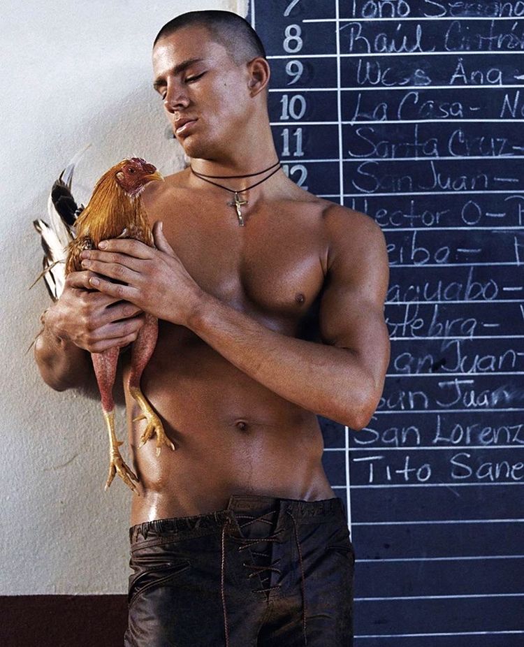 04-14-15-16504533411924842624