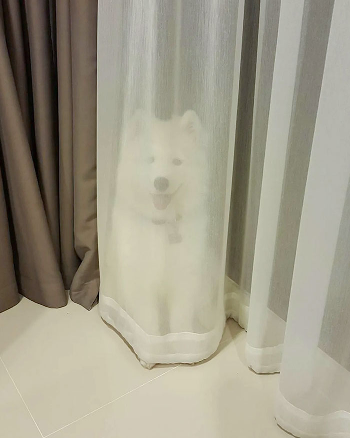 04-14-43-1649331803351541936