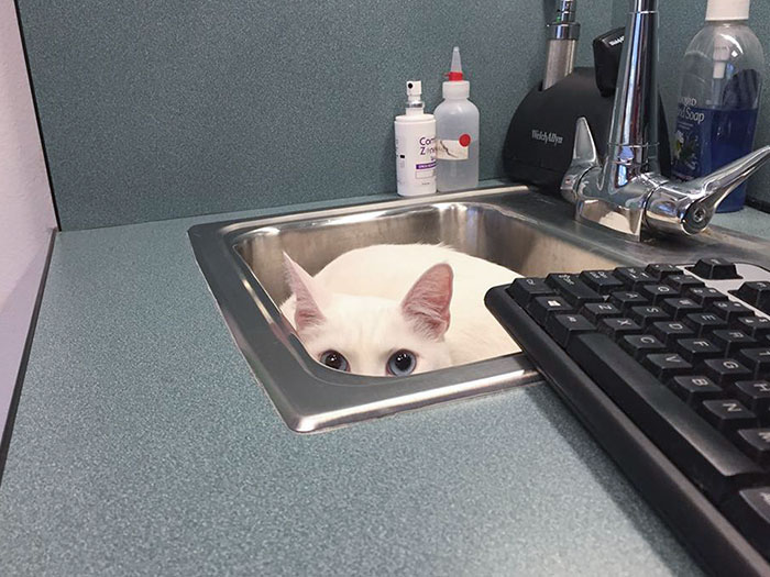 04-14-43-1649331813514025014