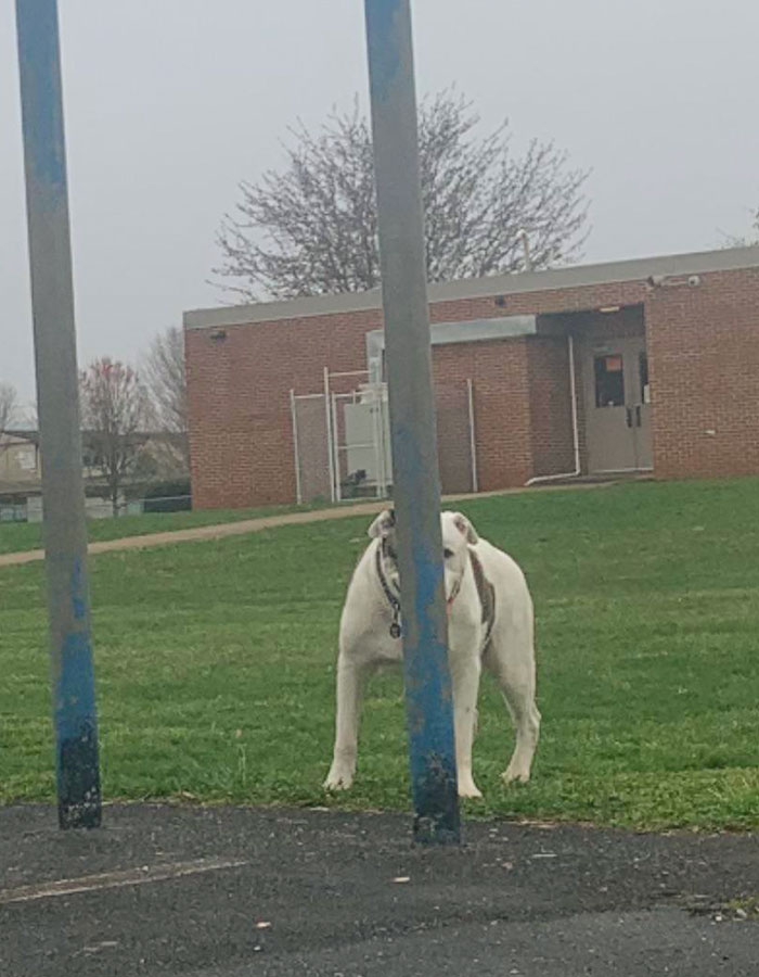 04-14-43-16493318161167961900