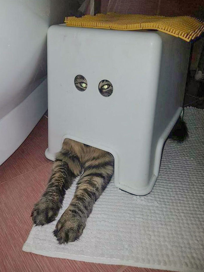 04-14-43-1649331821780167318