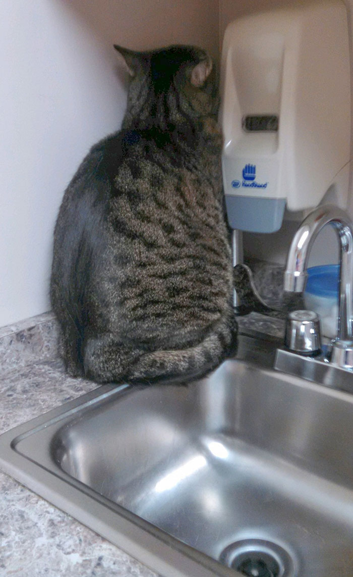 04-14-43-1649331825799830814