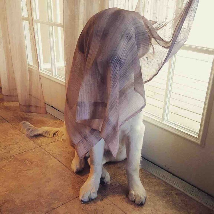 04-14-44-16493318512110276855