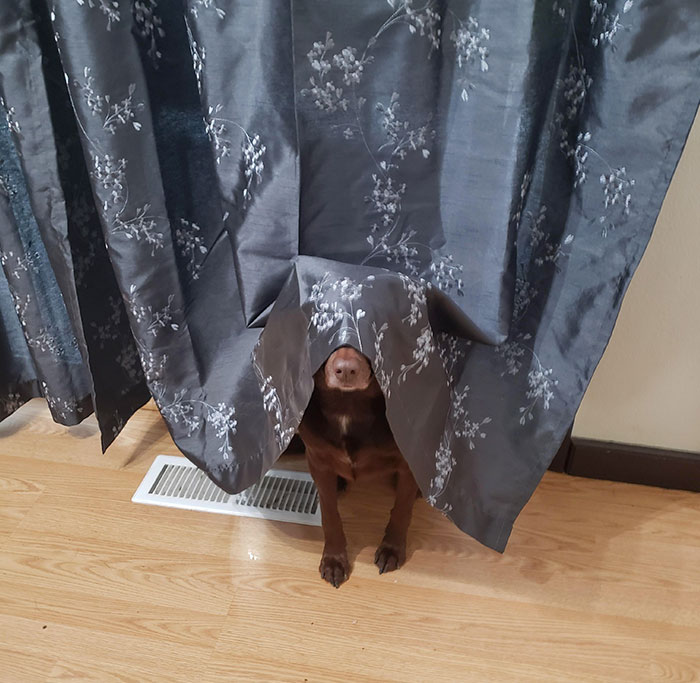 04-14-45-1649331912462503620