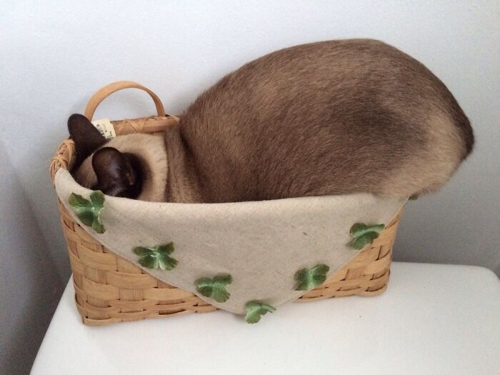 04-14-45-16493319181942617380