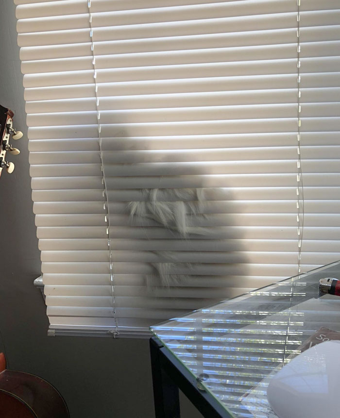 04-14-45-16493319211905251587