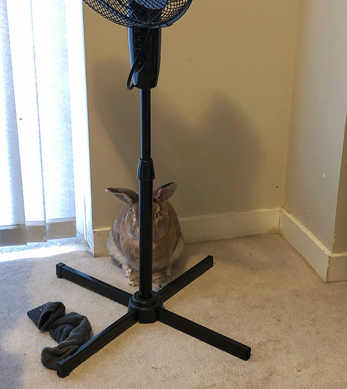 04-14-45-1649331925121818276