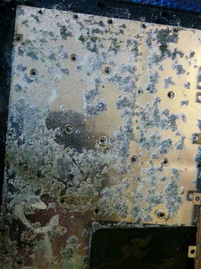 04-15-08-16508885181547450884