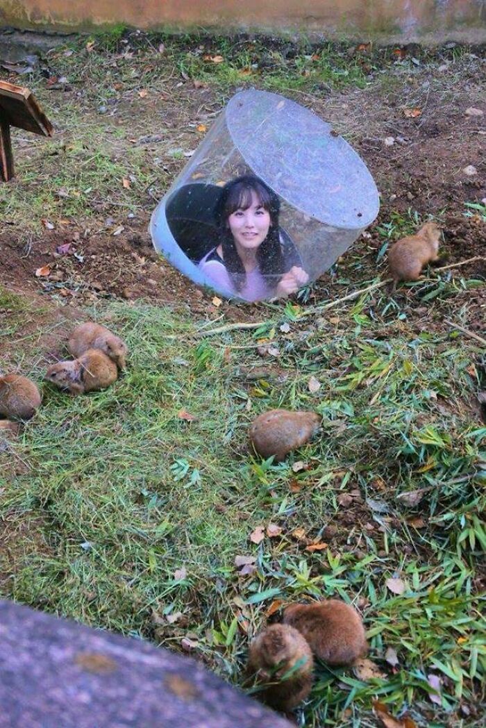 04-15-35-1650458155437060035