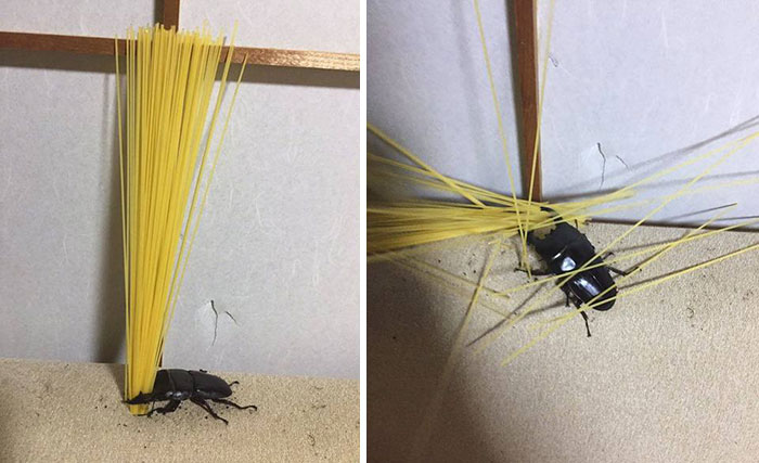 04-15-36-16504581641804830198