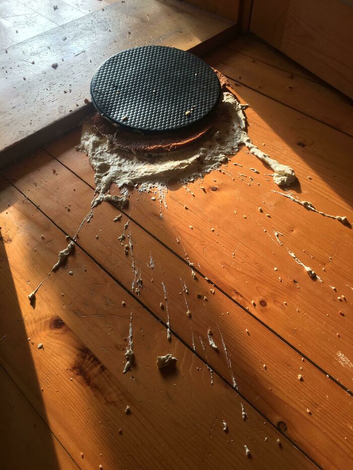 04-16-08-1651237691513243641