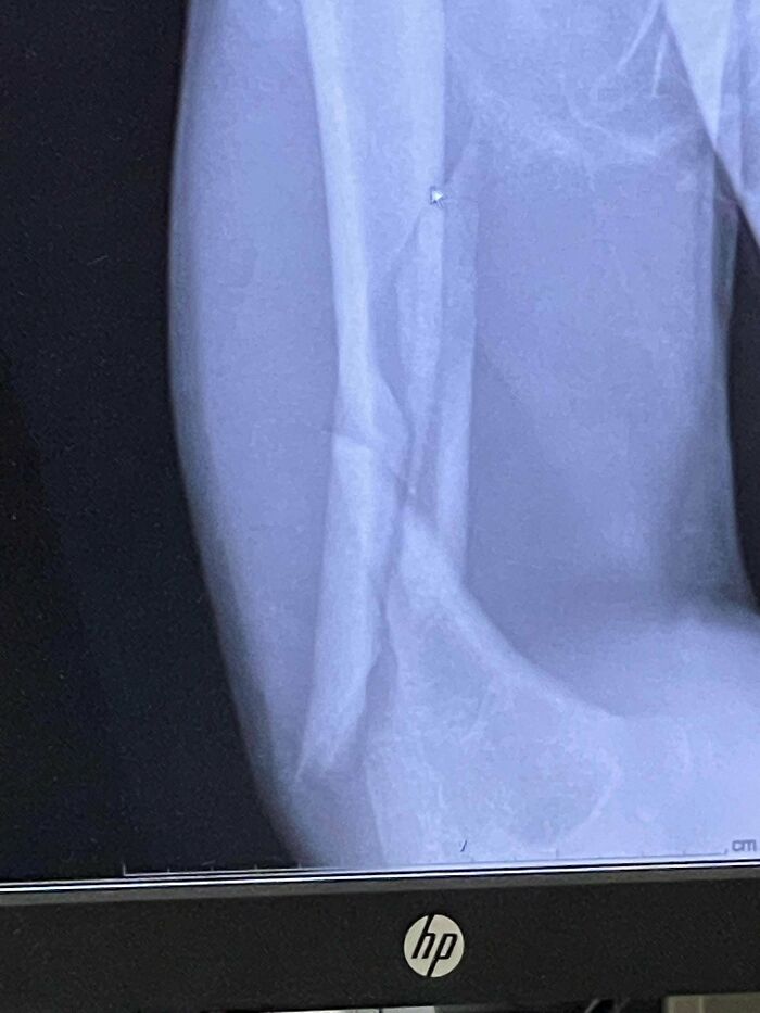 04-16-08-1651237698613491312