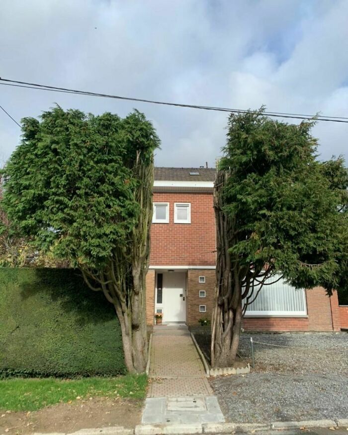 04-17-35-1650378919990126928