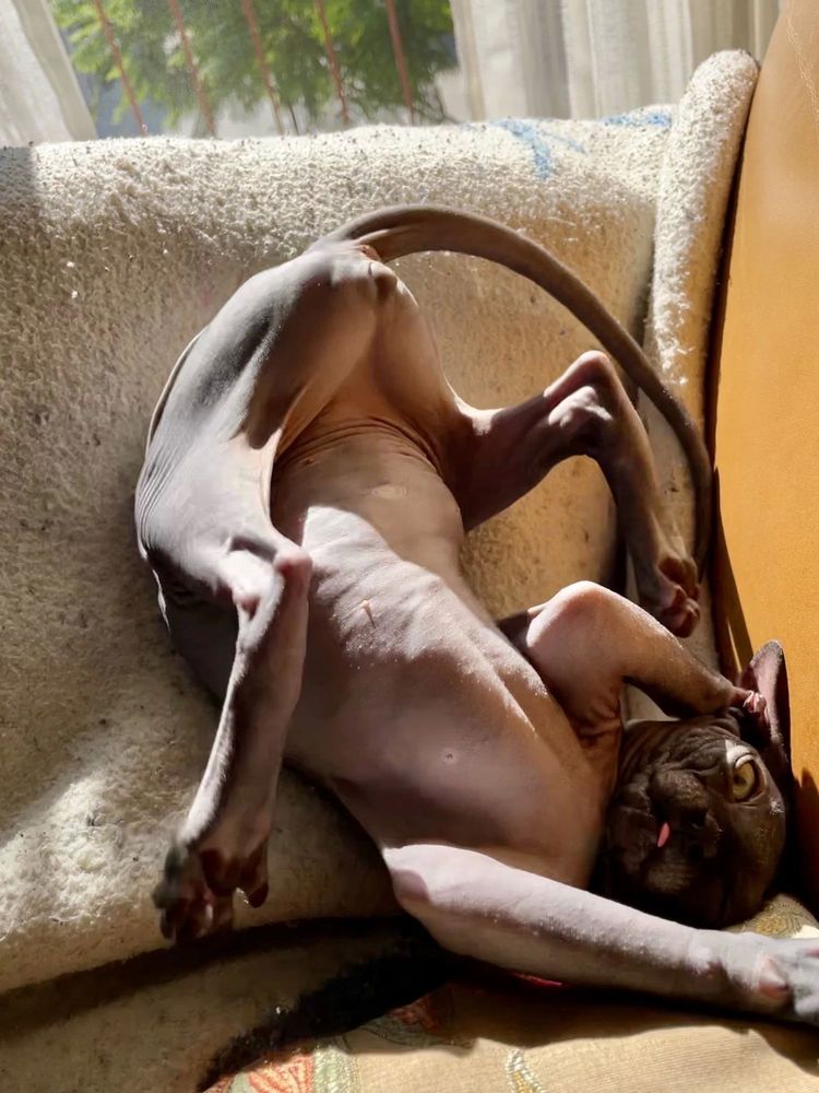 04-18-29-16511597981064404948