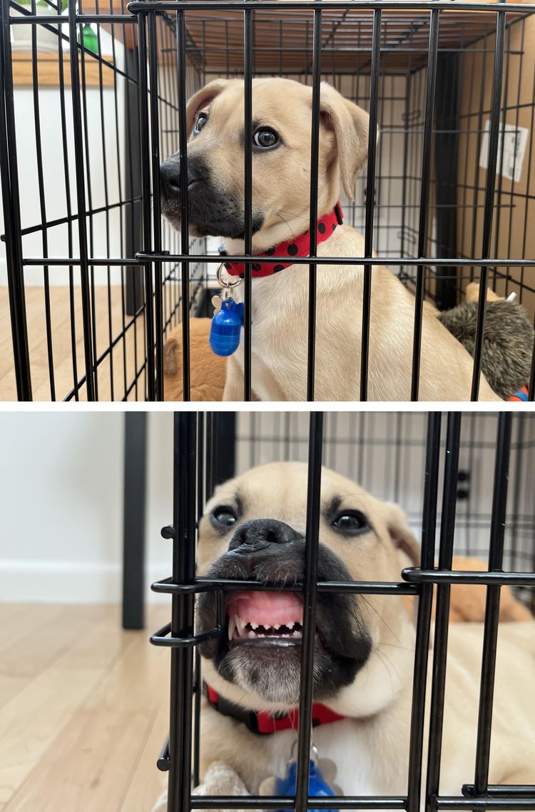 04-18-30-1651159812219160047