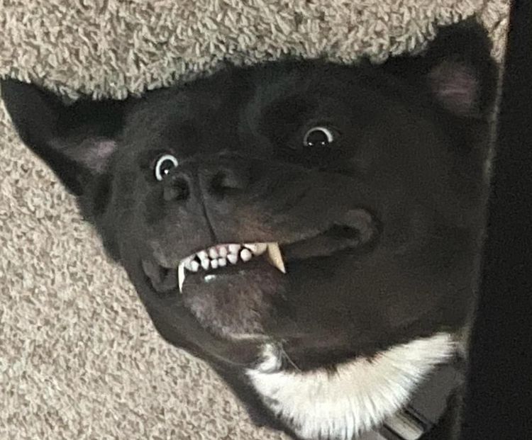 04-18-30-16511598151219086699