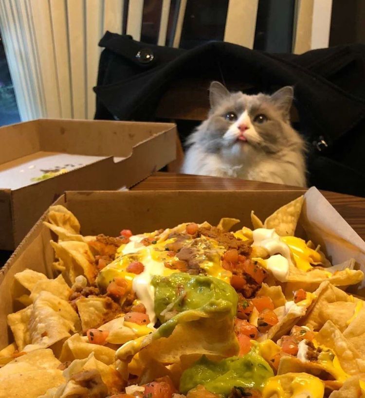 04-18-30-16511598271724328716