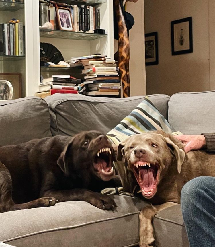 04-18-30-1651159852788438549