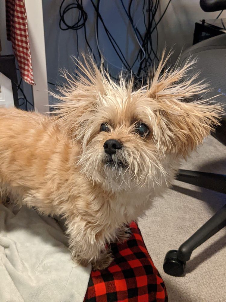 04-18-30-16511598571297912337