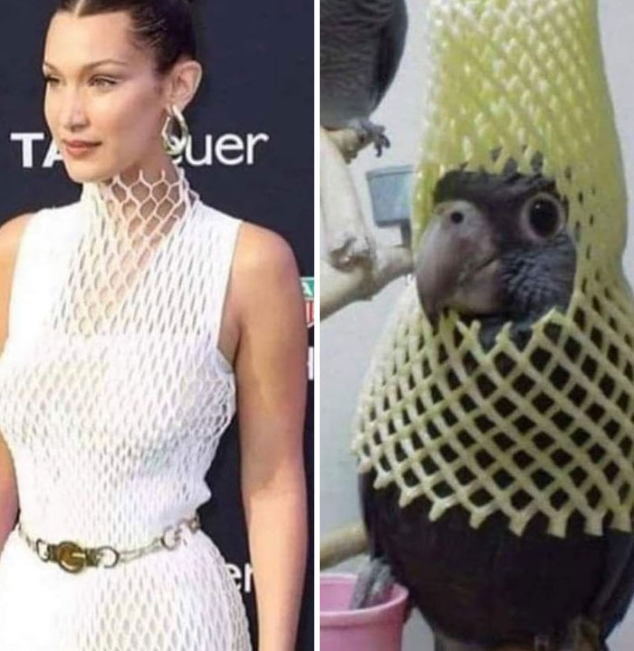 05-10-44-16532918641507648058