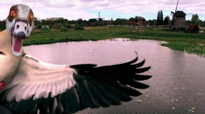 05-11-00-1652947254689957648