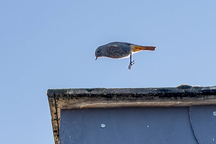 05-11-01-16529473061688324955