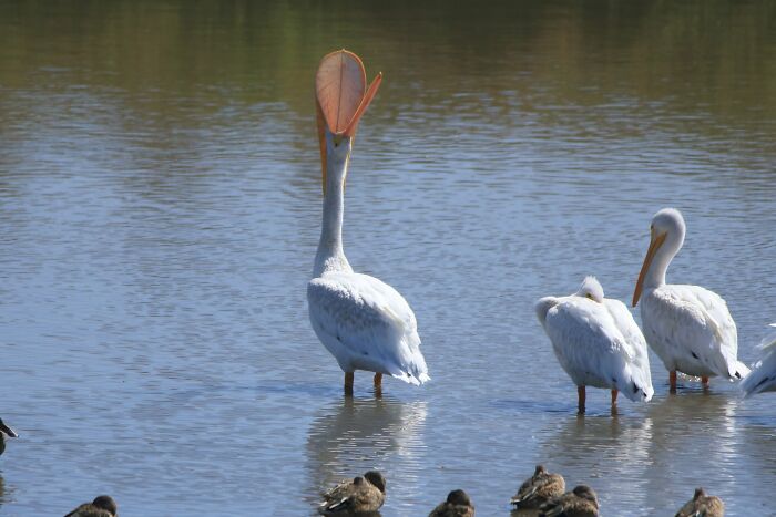 05-11-01-1652947309238346520