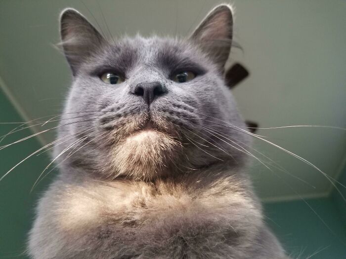 05-11-31-1652689870143058315