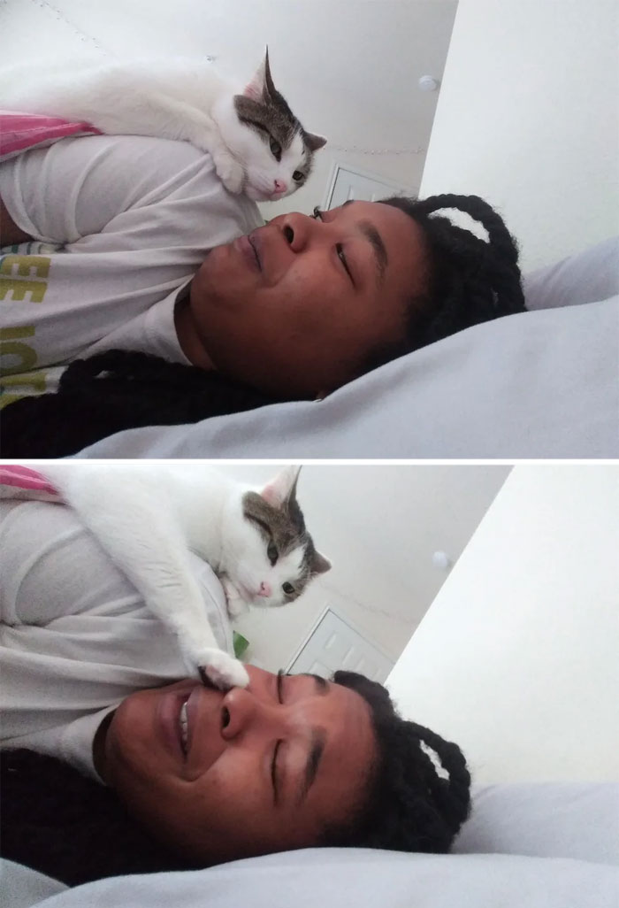 05-11-31-16526898731840387513