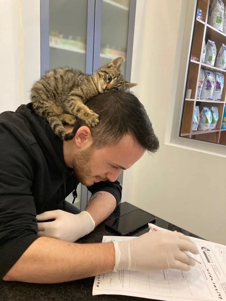 05-11-31-1652689876274516511