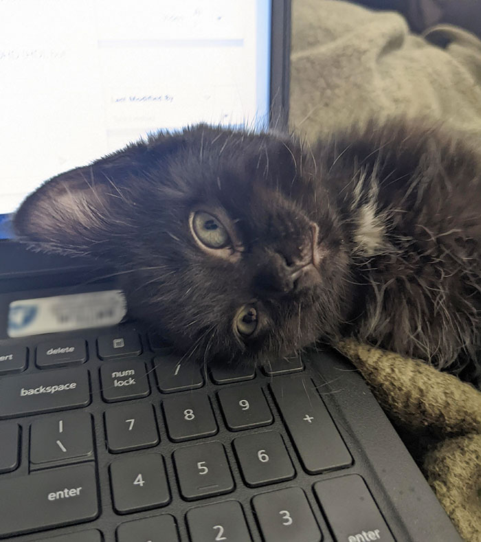 05-11-31-16526898832062138345